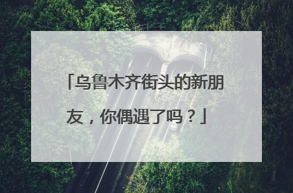 乌鲁木齐街头的新朋友，你偶遇了吗？
