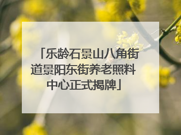 乐龄石景山八角街道景阳东街养老照料中心正式揭牌