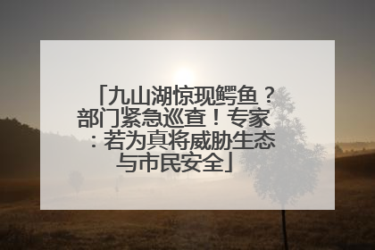 九山湖惊现鳄鱼？部门紧急巡查！专家：若为真将威胁生态与市民安全