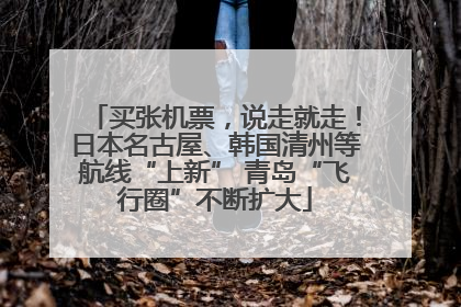 买张机票，说走就走！日本名古屋、韩国清州等航线“上新” 青岛“飞行圈”不断扩大