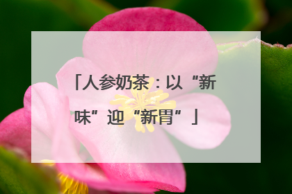 人参奶茶：以“新味”迎“新胃”