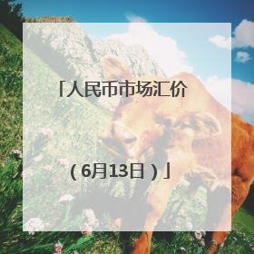 人民币市场汇价（6月13日）