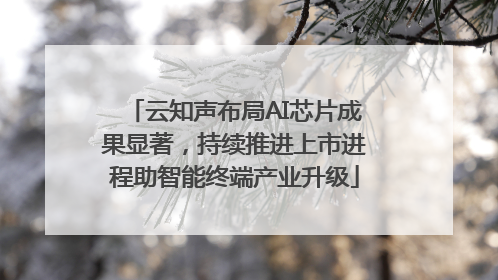 云知声布局AI芯片成果显著，持续推进上市进程助智能终端产业升级