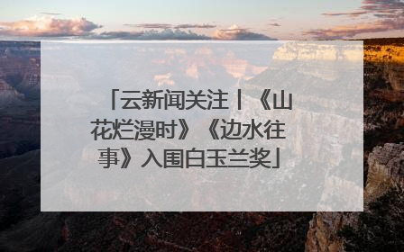 云新闻关注丨《山花烂漫时》《边水往事》入围白玉兰奖