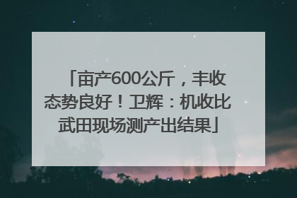 亩产600公斤，丰收态势良好！卫辉：机收比武田现场测产出结果