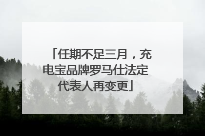 任期不足三月，充电宝品牌罗马仕法定代表人再变更
