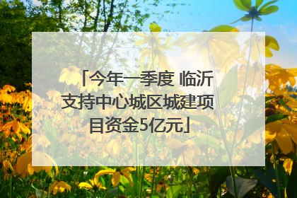 今年一季度 临沂支持中心城区城建项目资金5亿元