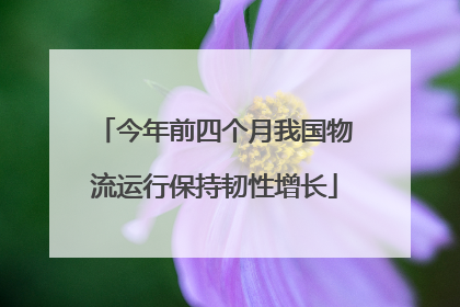 今年前四个月我国物流运行保持韧性增长