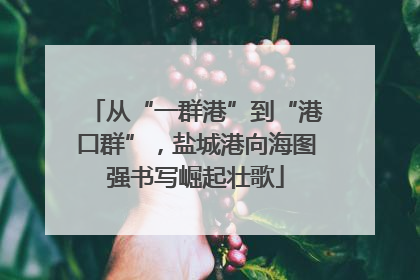 从“一群港”到“港口群”，盐城港向海图强书写崛起壮歌