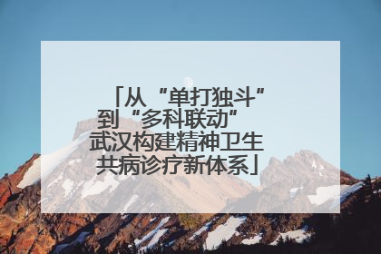 从“单打独斗”到“多科联动” 武汉构建精神卫生共病诊疗新体系