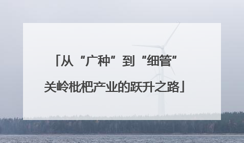 从“广种”到“细管” 关岭枇杷产业的跃升之路