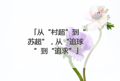 从“村超”到“苏超”，从“追球”到“追求”