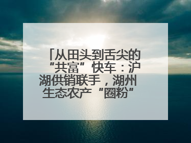 从田头到舌尖的“共富”快车：沪湖供销联手，湖州生态农产“圈粉”大上海