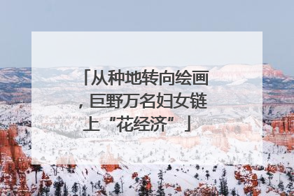 从种地转向绘画，巨野万名妇女链上“花经济”