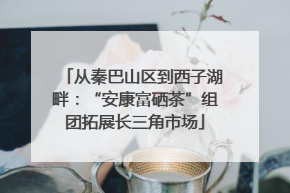 从秦巴山区到西子湖畔：“安康富硒茶”组团拓展长三角市场