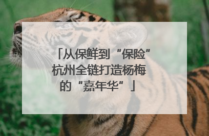 从保鲜到“保险” 杭州全链打造杨梅的“嘉年华”