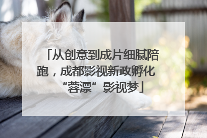 从创意到成片细腻陪跑，成都影视新政孵化“蓉漂”影视梦