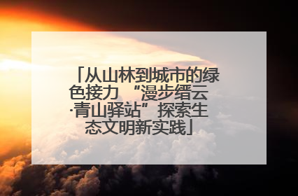 从山林到城市的绿色接力 “漫步缙云·青山驿站”探索生态文明新实践