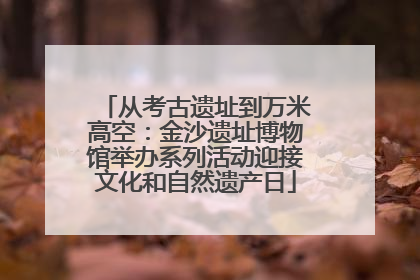 从考古遗址到万米高空：金沙遗址博物馆举办系列活动迎接文化和自然遗产日