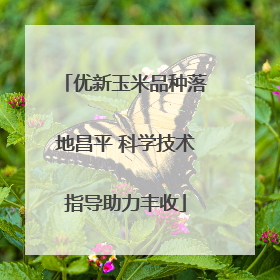 优新玉米品种落地昌平 科学技术指导助力丰收