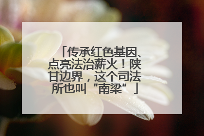 传承红色基因、点亮法治薪火！陕甘边界，这个司法所也叫“南梁”