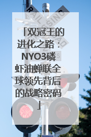 双冠王的进化之路：NYO3磷虾油蝉联全球领先背后的战略密码