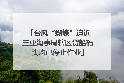 台风“蝴蝶”迫近 三亚海事局辖区货船码头均已停止作业