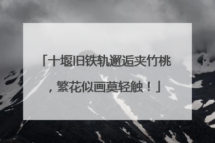十堰旧铁轨邂逅夹竹桃，繁花似画莫轻触！