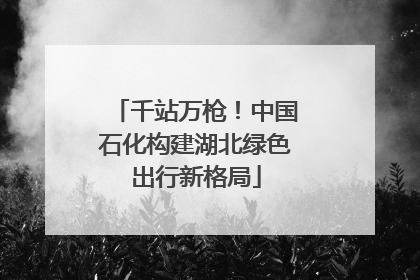 千站万枪！中国石化构建湖北绿色出行新格局