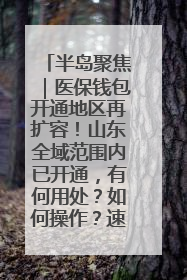 半岛聚焦｜医保钱包开通地区再扩容！山东全域范围内已开通，有何用处？如何操作？速戳→