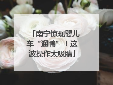 南宁惊现婴儿车“遛鸭”！这波操作太吸睛