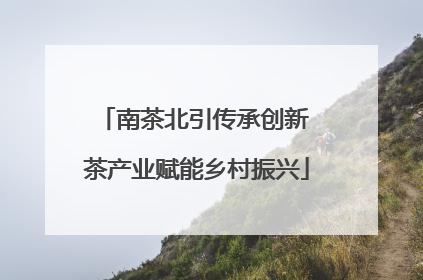 南茶北引传承创新 茶产业赋能乡村振兴