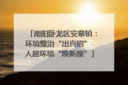 南阳卧龙区安皋镇：环境整治“出真招” 人居环境“焕新颜”