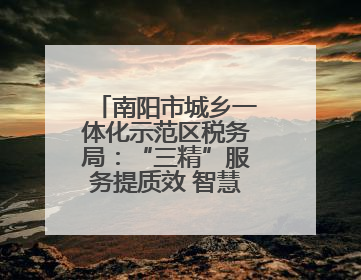 南阳市城乡一体化示范区税务局：“三精”服务提质效 智慧税务强基础