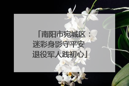 南阳市宛城区：迷彩身影守平安 退役军人践初心