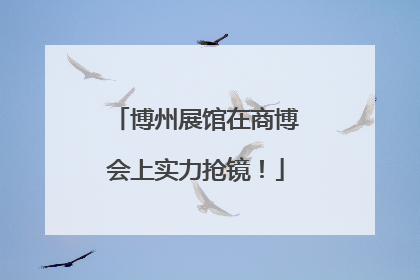 博州展馆在商博会上实力抢镜！