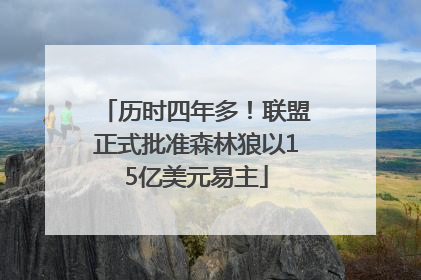历时四年多！联盟正式批准森林狼以15亿美元易主