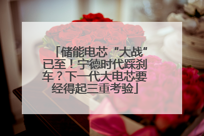 储能电芯“大战”已至！宁德时代踩刹车？下一代大电芯要经得起三重考验