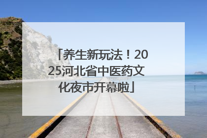 养生新玩法！2025河北省中医药文化夜市开幕啦