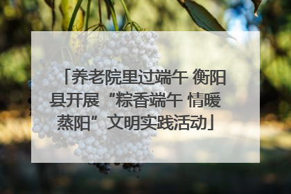 养老院里过端午 衡阳县开展“粽香端午 情暖蒸阳”文明实践活动