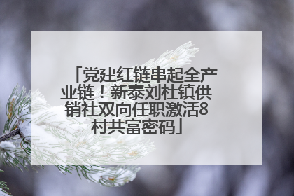 党建红链串起全产业链！新泰刘杜镇供销社双向任职激活8村共富密码