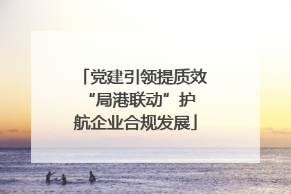 党建引领提质效 “局港联动”护航企业合规发展