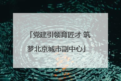 党建引领育匠才 筑梦北京城市副中心