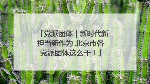 党派团体｜新时代新担当新作为 北京市各党派团体这么干！