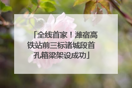 全线首家！潍宿高铁站前三标诸城段首孔箱梁架设成功