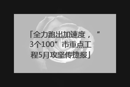 全力跑出加速度，“3个100”市重点工程5月攻坚传捷报