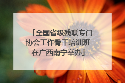 全国省级残联专门协会工作骨干培训班在广西南宁举办