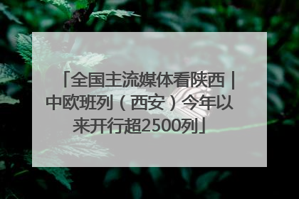 全国主流媒体看陕西｜中欧班列（西安）今年以来开行超2500列