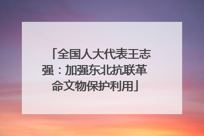全国人大代表王志强：加强东北抗联革命文物保护利用