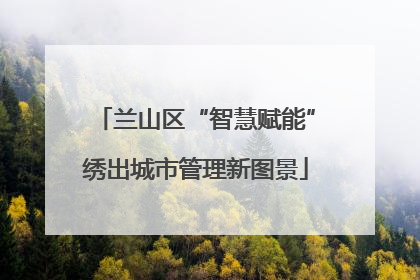 兰山区“智慧赋能”绣出城市管理新图景